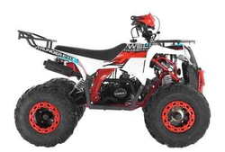 Квадроцикл WELS THUNDER EVO X ST