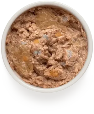 Консервы GRANDORF FRESH для собак, паштет из говядины с цукини и морковью