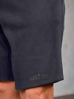 Шорты повседневные Casual Legenda серые