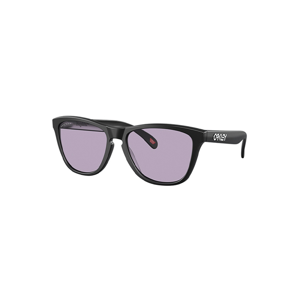 Oakley Frogskins Tinted Очки E3