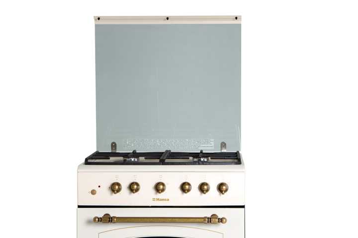 Газовая плита Hansa FCGY62109