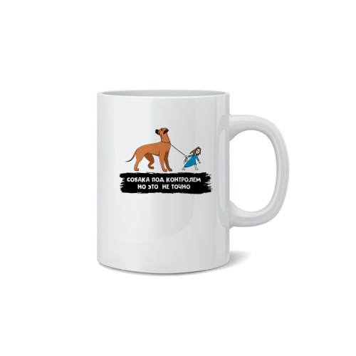 Кружка "Ридж под контролем"
