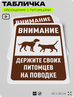 Табличка "Держите своих питомцев на поводке" на дверь и забор, для двора, дома, подъезда, 40х30 см, Silver Plane x Айдентика Технолоджи