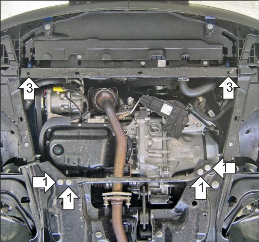 Защита стальная 2 мм двигателя для Citroen C3 Picasso; Peugeot 207 Motodor.71603