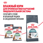Royal Canin Hairball Care Хэйрболл Кэа Корм сухой для взрослых кошек профилактика образования волосяных комочков 10кг