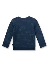 Толстовка Sanetta Kidswear 126339 50399