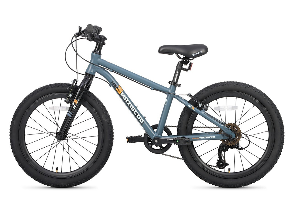 Maxiscoo 3BIKE 20'' M (2025)