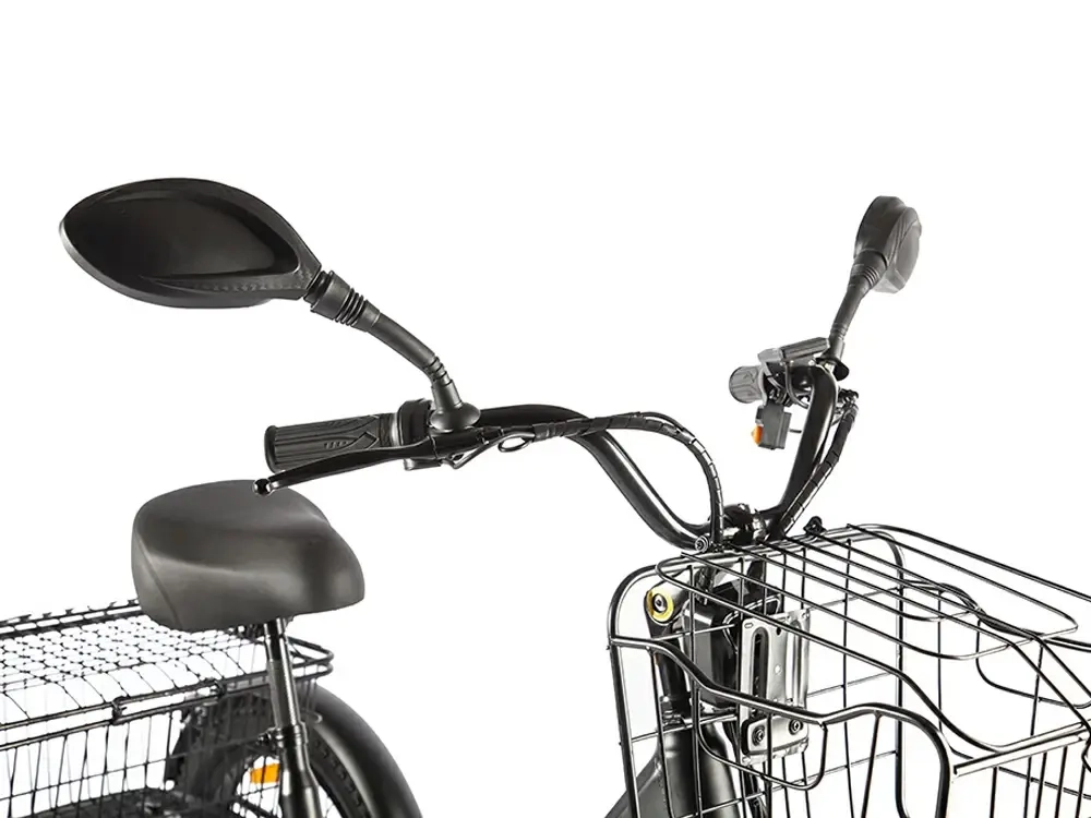 Электровелосипед GREEN CITY e-ALFA Trike (синий)