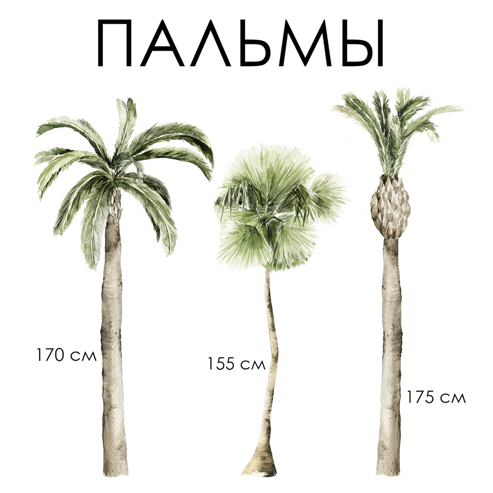 Стикеры ПАЛЬМЫ
