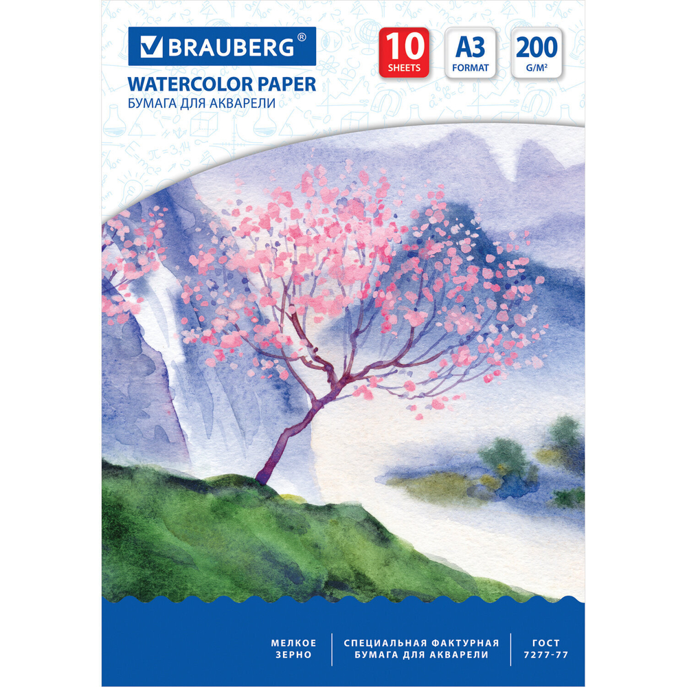 Бумага для акварели БОЛЬШАЯ А3 10 л. 200 г/м2 297х420 мм BRAUBERG "Сакура" (6 штук в упаковке)
