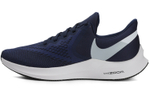 Кроссовки Nike Zoom Winflo 6