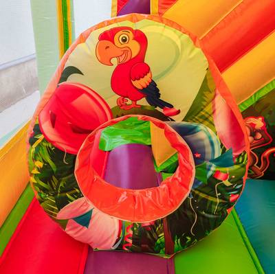 Коммерческий надувной батут «Попугаи и друзья 2» с крышей, 6x4x4 м