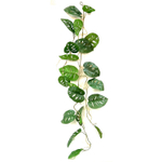 Монстера ампельная ветка 120 см