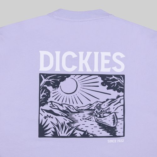 Футболка мужская Dickies Patrick Springs Tee артикул:DK0A4YR7H181 - купить в магазине Дайс