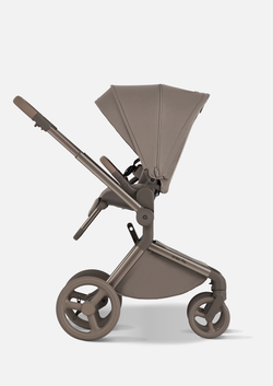 Anex Детская коляска Flo 2 в 1 Yuki