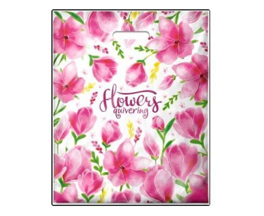 Пакет ПЭ с вырубной ручкой 38х47+6 (60) Интерпак ламинация (Трепет) Россия