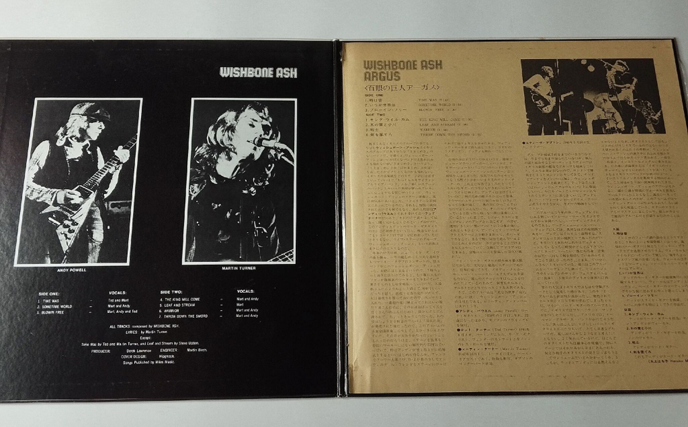 Винтажная виниловая пластинка LP Wishbone Ash Argus (Japan 1976) (No Obi) Leaf And Stream