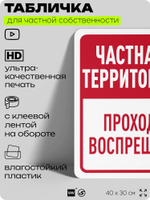 Табличка для частной территории "Частная территория, проход воспрещен", на дом, для участка, организаций, предупреждающая, 40х30 см, Silver Plane x Айдентика Технолоджи