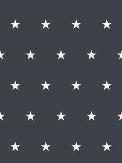 Постельное белье Сказка "Альтаир" 2-спальный Наволочка 50х70 см 2 шт Простынь на резинке 160х200 см Пододеяльник 175х215 см, поплин