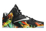 Кроссовки Nike Lebron 11 Everglades