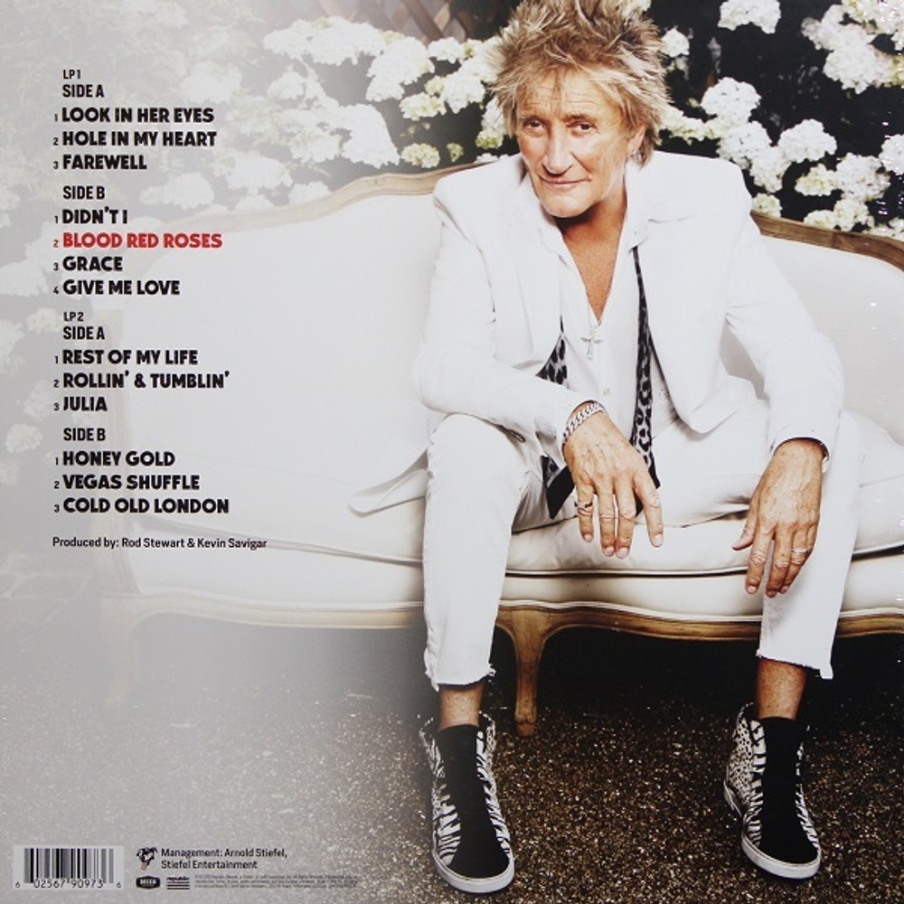 Rod Stewart / Blood Red Roses (2LP)