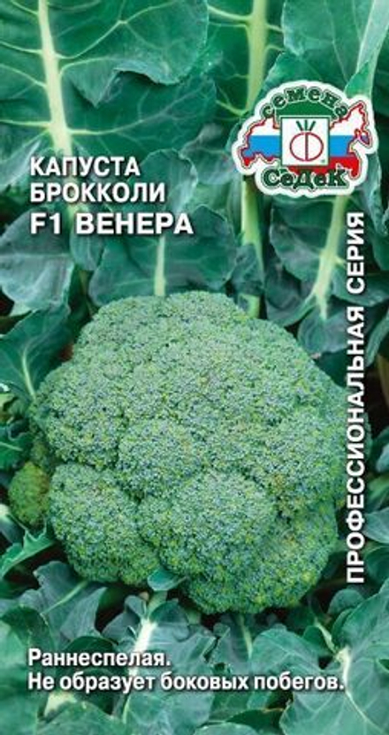 Капуста брок. Венера F1 Седек