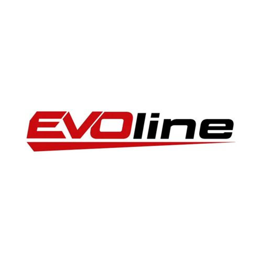 Двигатель бензиновый EVOline GB 270 BE