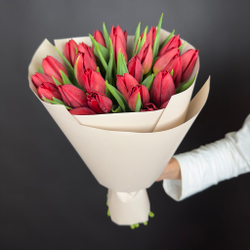 Bouquet of 25 red tulips