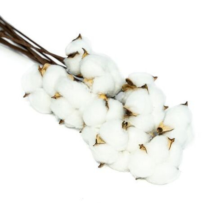 Набор хлопок БЕЛЫЙ 10веток