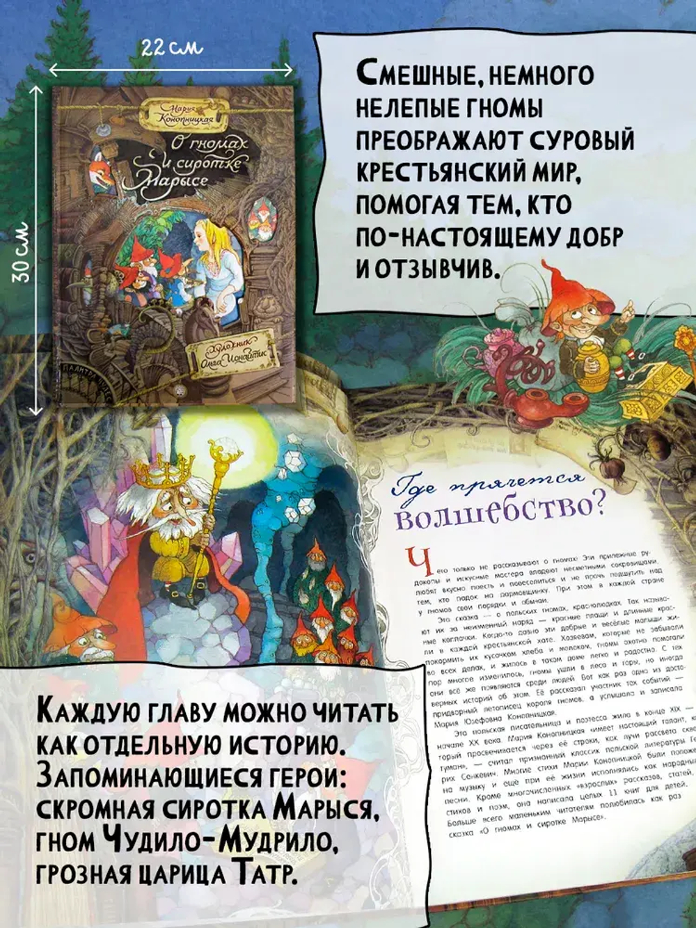 О гномах и сиротке Марысе