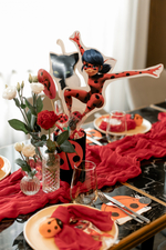 Lady Bug Party
