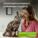 Лакомство Мнямс лакомые палочки для кошек с уткой и кроликом 10х5 г