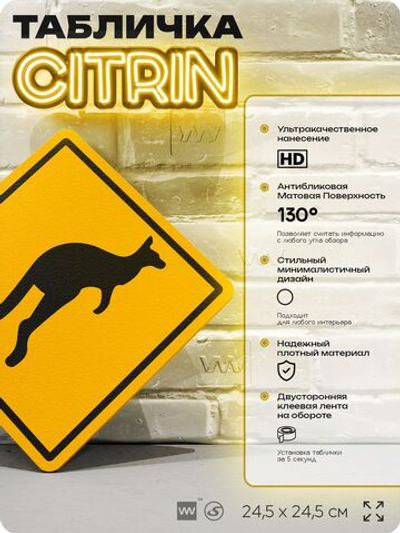 Табличка прикольная "Осторожно, кенгуру" на дверь и стену, информационная и предупреждающая, декоративный знак, 24,5х24,5 см, пластиковая, Айдентика Технолоджи