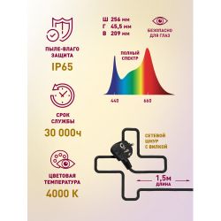 Фитопрожектор для растений светодиодный ЭРА FITO-100W-Ra90-LED для цветения и плодоношения полного спектра 100 Вт
