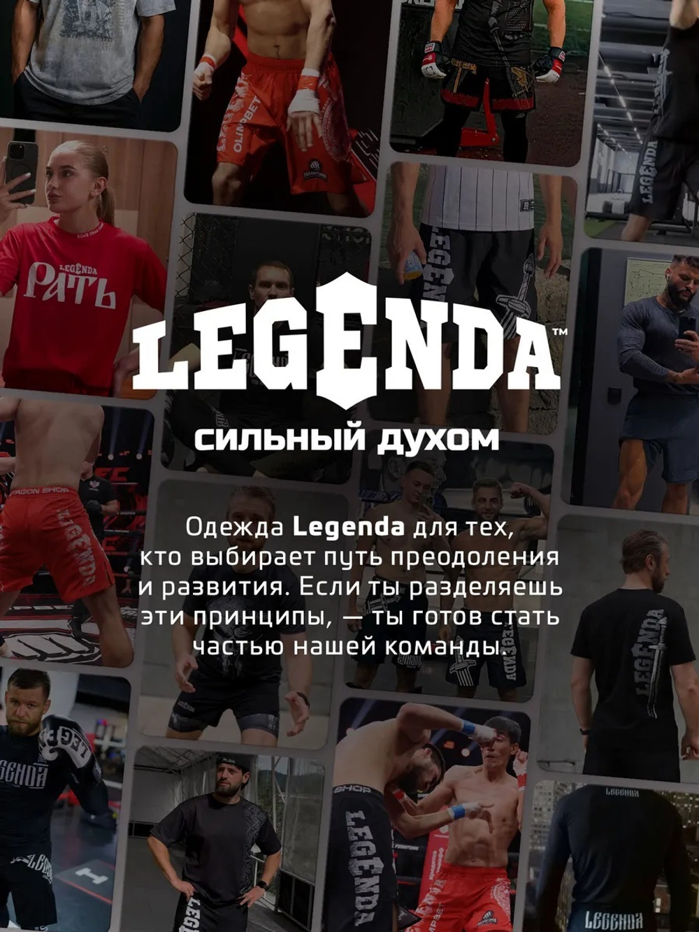 Толстовка демисезонная мужская Legenda Череп графит
