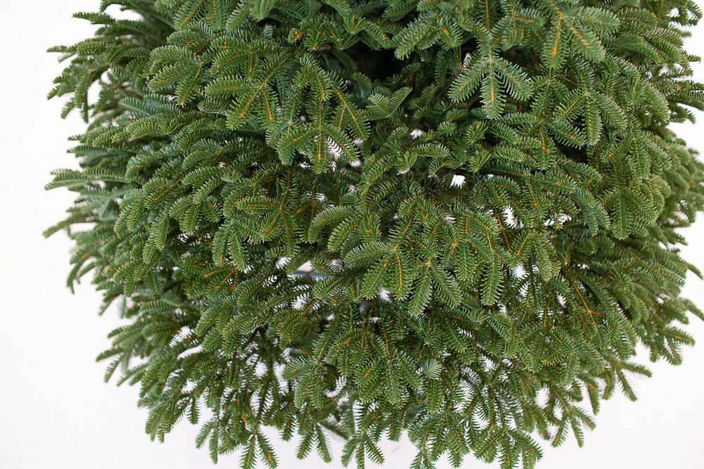 Ель искусственная «РОВЕТО» (Литая хвоя) 210 см / 2.1 м