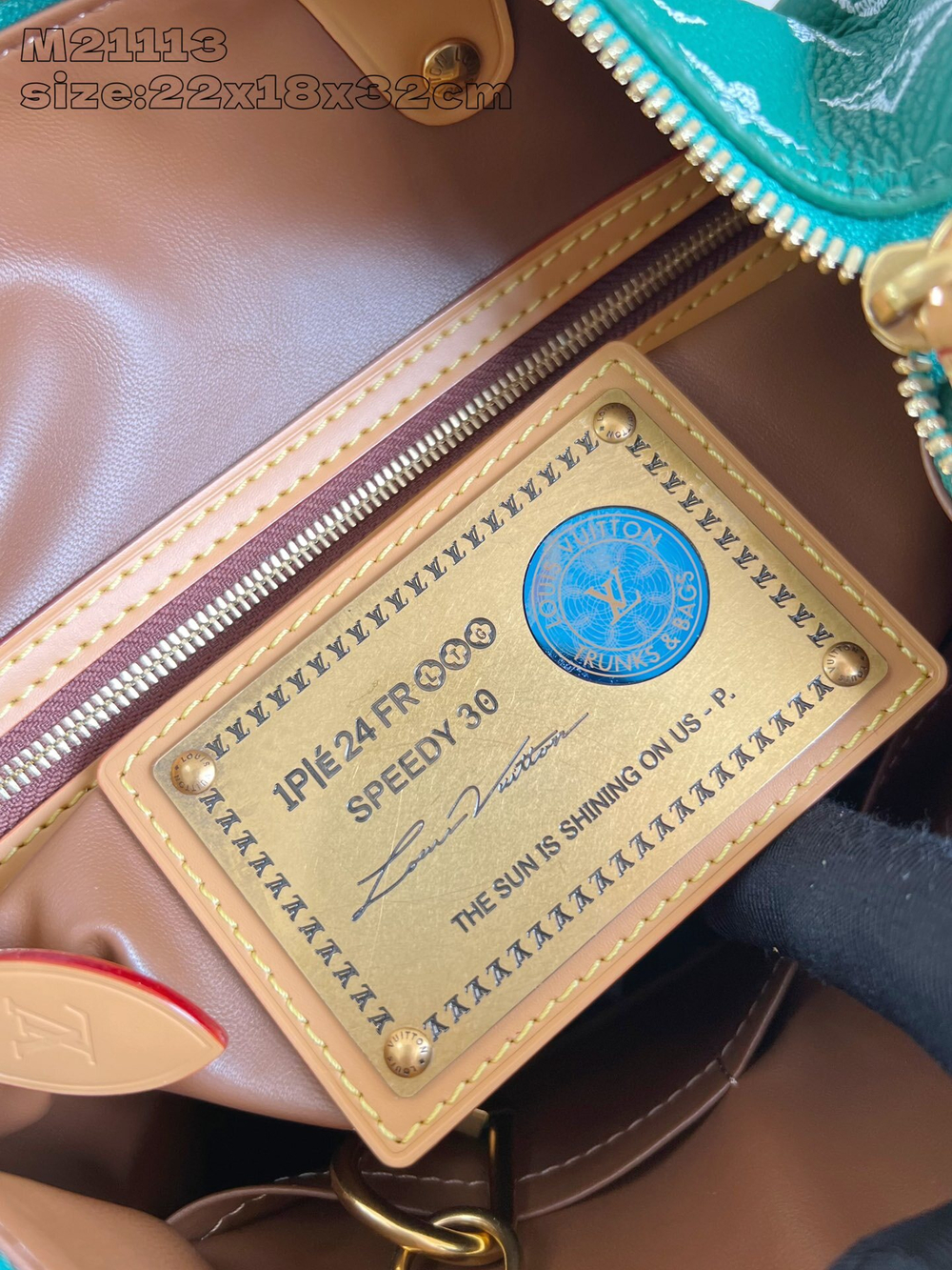 Louis Vuitton Speedy P9 Bandouliere 30