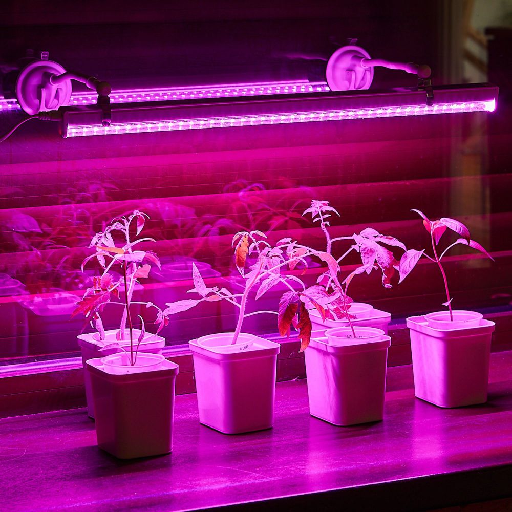 UFP-M01R-150 WHITE POLYBAG SET2 Подставка для светильника ULI-P. на присоске. длина трубки 150мм. Набор из 2шт. Белая. TM ФитоЛето