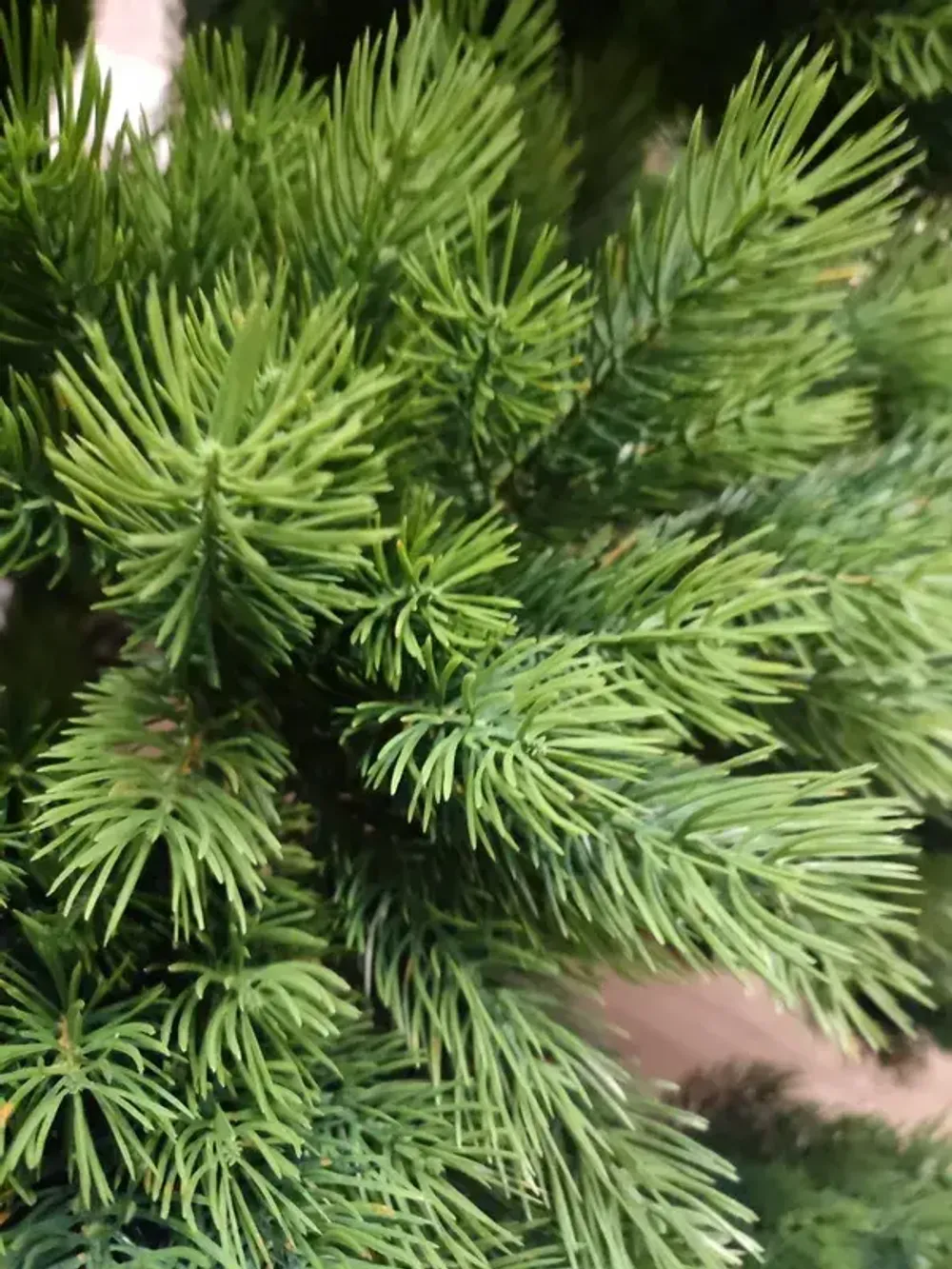 Ель искусственная «Таежная» (Литая хвоя) от 1,5 м до 2,4 м