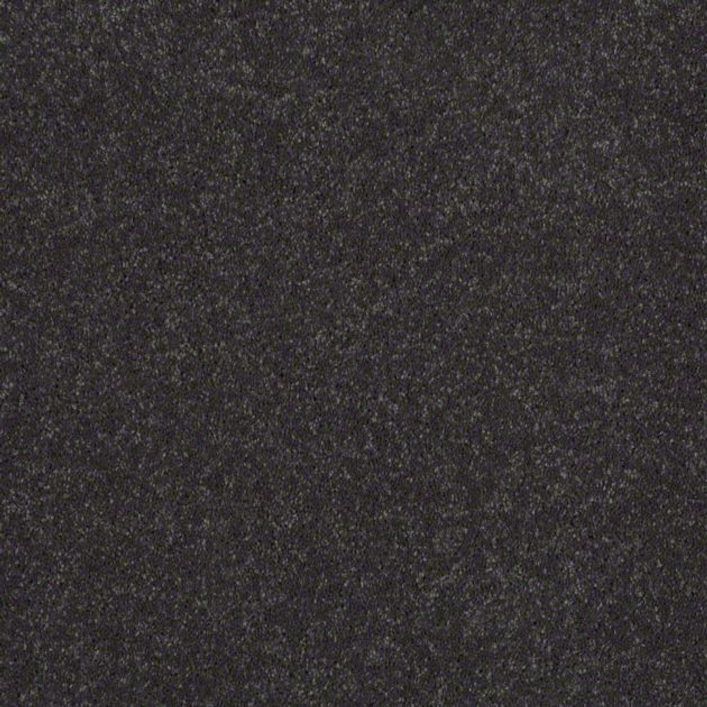 Ковровое покрытие Shaw Floors See the World III 531