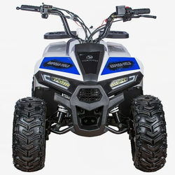 Квадроцикл Yacota Raposa