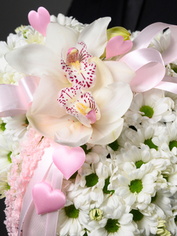 Моя Нежность