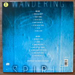Mick Jagger ‎– Wandering Spirit (Германия 1993г.) Т