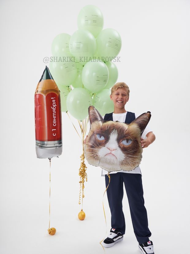 Воздушные шары на 1 сентября «Back to school» с мальчиком и котом №1/55