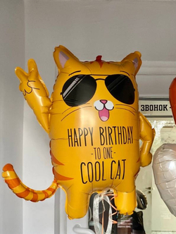 Шар-фигура, фольга, Кот крутой. С Днем Рождения (BT), 33/84 см