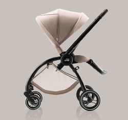 Детская коляска 2 в 1 Britax Roemer RIO Style Teak