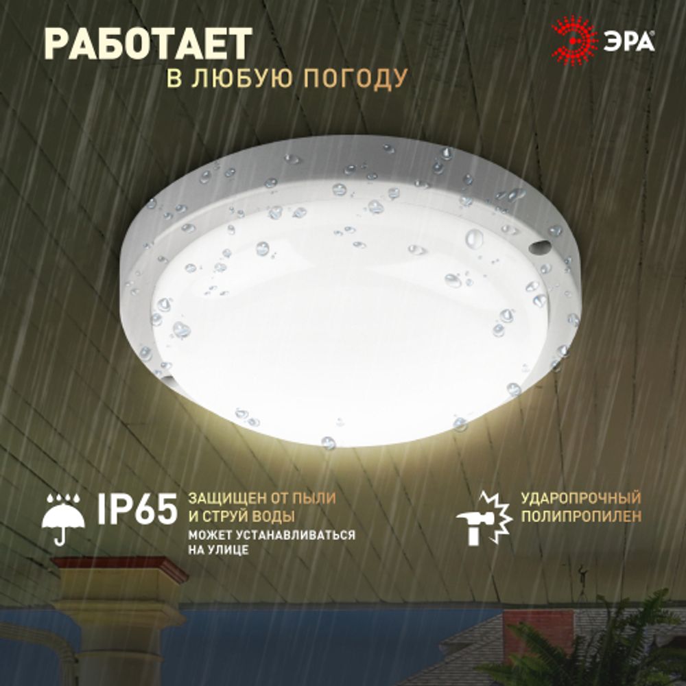 Светильник ЖКХ светодиодный ЭРА SPB-201-0-40К-008 IP65 8Вт 760Лм 4000К D140 КРУГ | Светильники для ЖКХ IP65