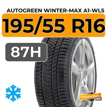 Autogreen Winter-Max A1-WL5 195/55 R16 87H