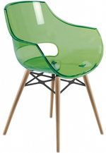 Кресло прозрачное Papatya Opal Wox Beech, натуральный, зеленый