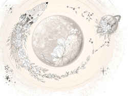 Коллекция COSMOS